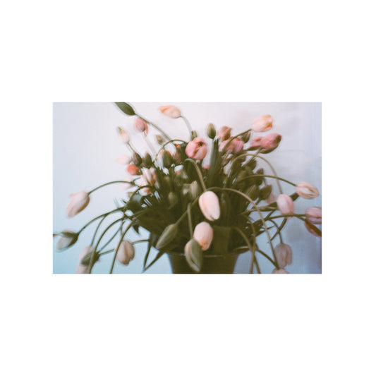 Bath Mat by Shaniqwa Jarvis BATH MATS & RUGS Afternoon Light 